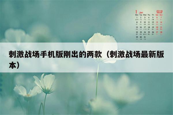 刺激战场手机版刚出的两款（刺激战场最新版本）