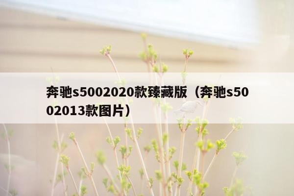 奔驰s5002020款臻藏版（奔驰s5002013款图片）