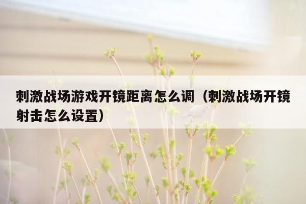 刺激战场游戏开镜距离怎么调（刺激战场开镜射击怎么设置）