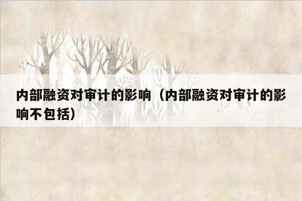内部融资对审计的影响（内部融资对审计的影响不包括）