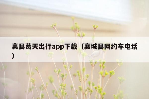 襄县葛天出行app下载（襄城县网约车电话）