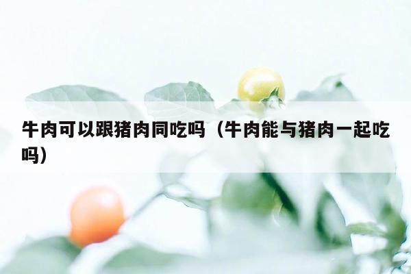 牛肉可以跟猪肉同吃吗（牛肉能与猪肉一起吃吗）