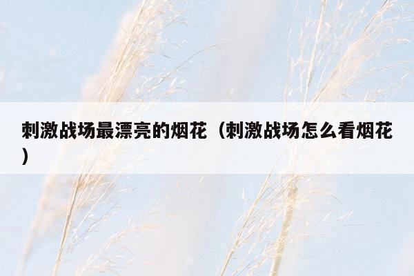 刺激战场最漂亮的烟花（刺激战场怎么看烟花）
