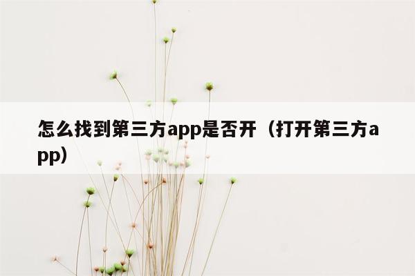 怎么找到第三方app是否开（打开第三方app）