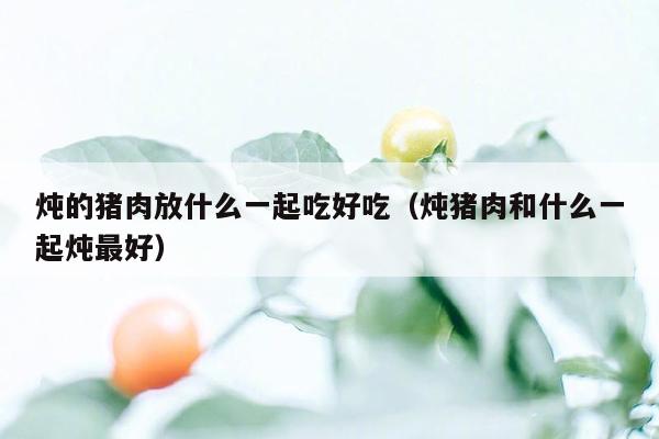 炖的猪肉放什么一起吃好吃（炖猪肉和什么一起炖最好）