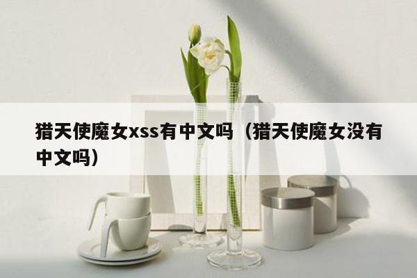猎天使魔女xss有中文吗（猎天使魔女没有中文吗）