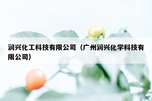 润兴化工科技有限公司（广州润兴化学科技有限公司）