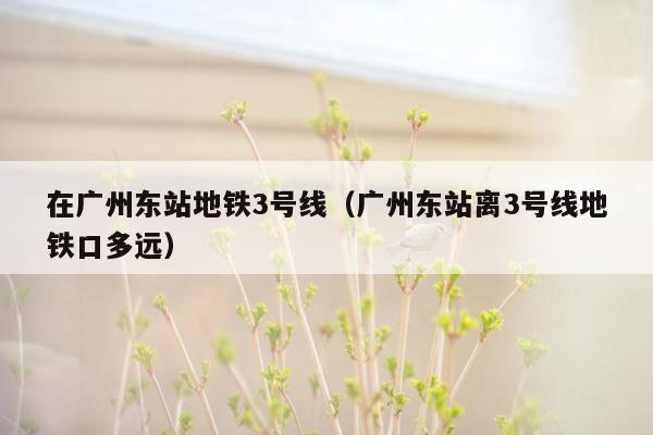 在广州东站地铁3号线（广州东站离3号线地铁口多远）