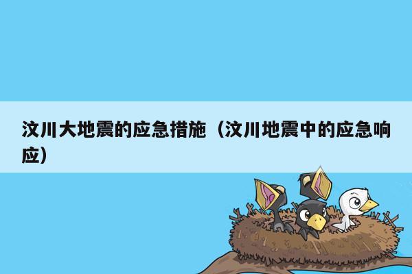汶川大地震的应急措施（汶川地震中的应急响应）