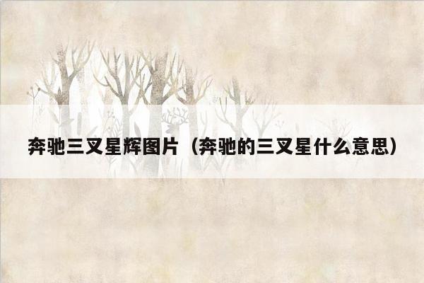 奔驰三叉星辉图片（奔驰的三叉星什么意思）