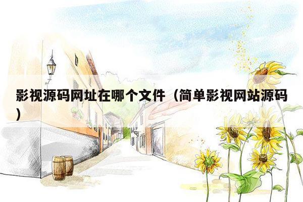 影视源码网址在哪个文件（简单影视网站源码）