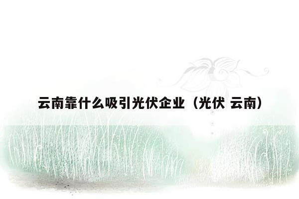 云南靠什么吸引光伏企业（光伏 云南）