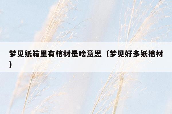 梦见纸箱里有棺材是啥意思（梦见好多纸棺材）