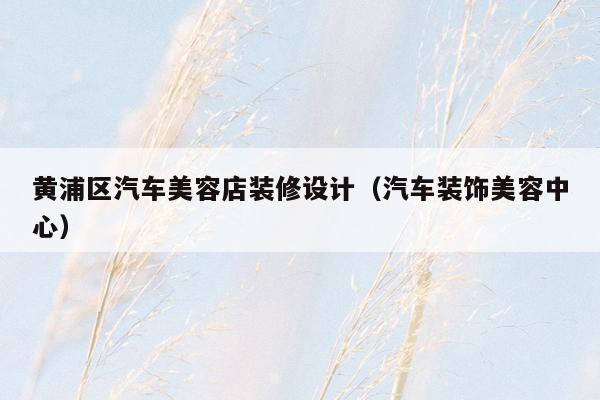 黄浦区汽车美容店装修设计（汽车装饰美容中心）