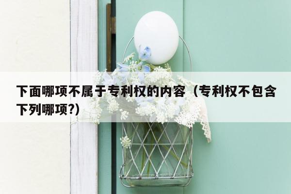下面哪项不属于专利权的内容（专利权不包含下列哪项?）