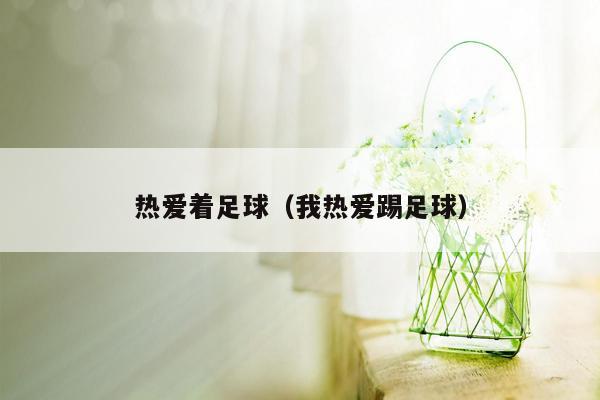 热爱着足球（我热爱踢足球）