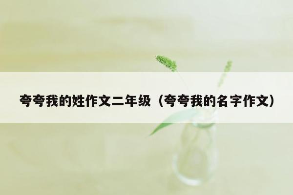 夸夸我的姓作文二年级（夸夸我的名字作文）