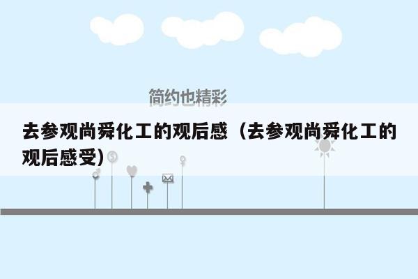 去参观尚舜化工的观后感（去参观尚舜化工的观后感受）