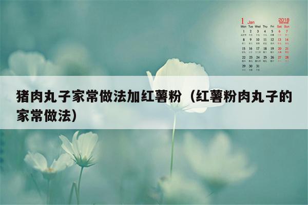 猪肉丸子家常做法加红薯粉（红薯粉肉丸子的家常做法）