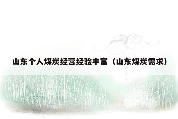 山东个人煤炭经营经验丰富（山东煤炭需求）