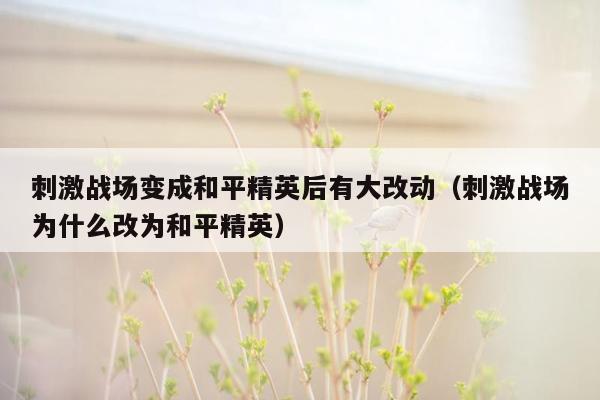 刺激战场变成和平精英后有大改动（刺激战场为什么改为和平精英）