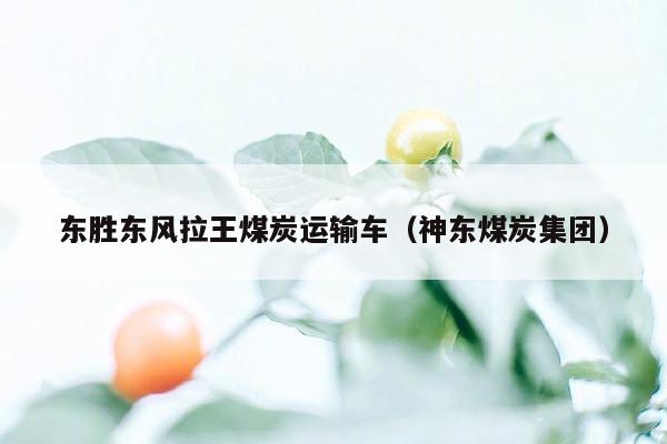 东胜东风拉王煤炭运输车（神东煤炭集团）