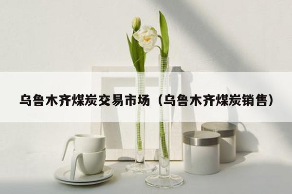 乌鲁木齐煤炭交易市场（乌鲁木齐煤炭销售）