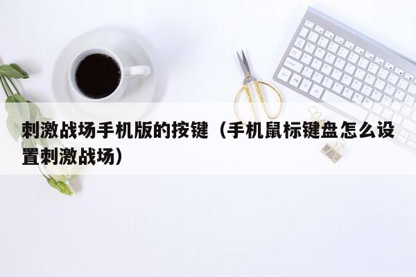 刺激战场手机版的按键（手机鼠标键盘怎么设置刺激战场）