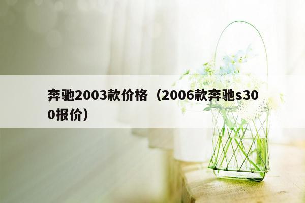 奔驰2003款价格（2006款奔驰s300报价）