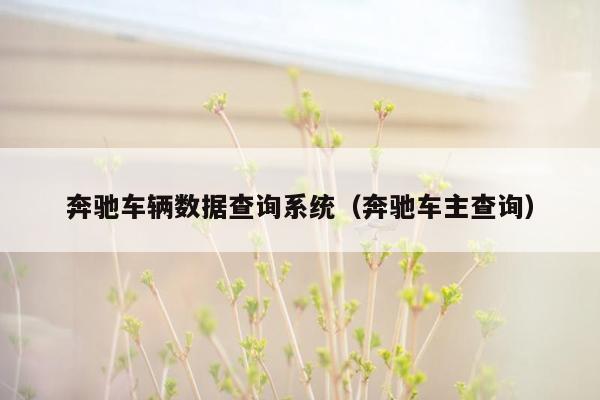 奔驰车辆数据查询系统（奔驰车主查询）