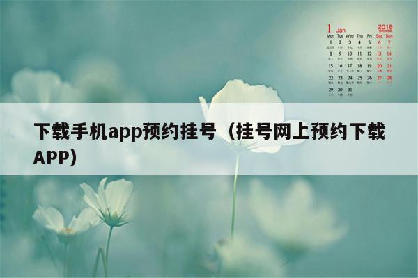 下载手机app预约挂号（挂号网上预约下载APP）