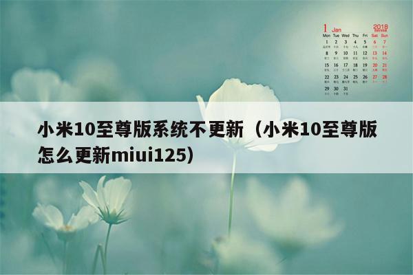 小米10至尊版系统不更新（小米10至尊版怎么更新miui125）