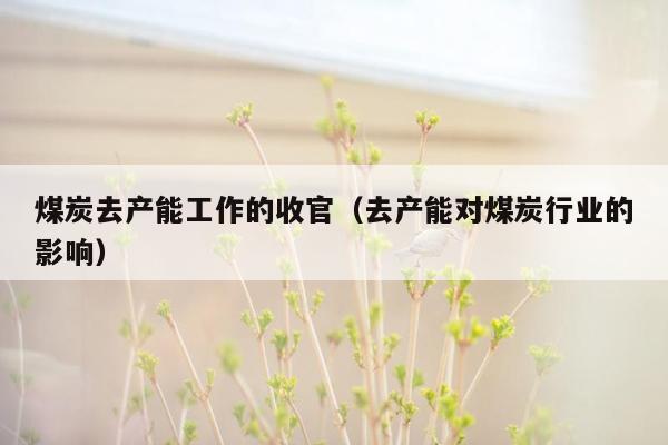 煤炭去产能工作的收官（去产能对煤炭行业的影响）
