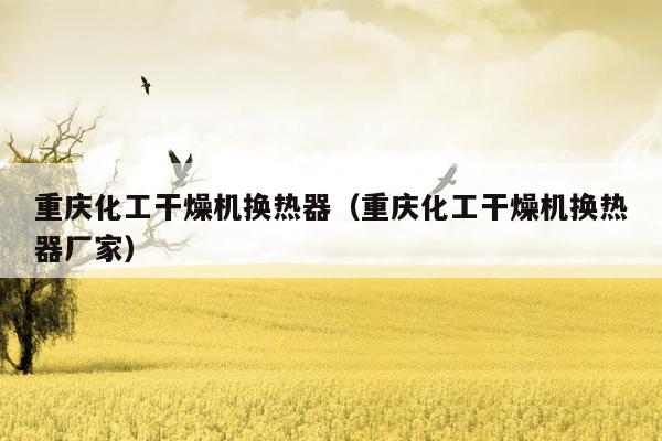 重庆化工干燥机换热器（重庆化工干燥机换热器厂家）
