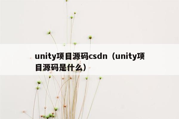 unity项目源码csdn（unity项目源码是什么）