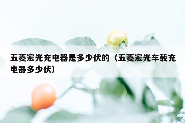 五菱宏光充电器是多少伏的（五菱宏光车载充电器多少伏）