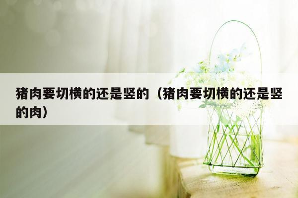 猪肉要切横的还是竖的（猪肉要切横的还是竖的肉）