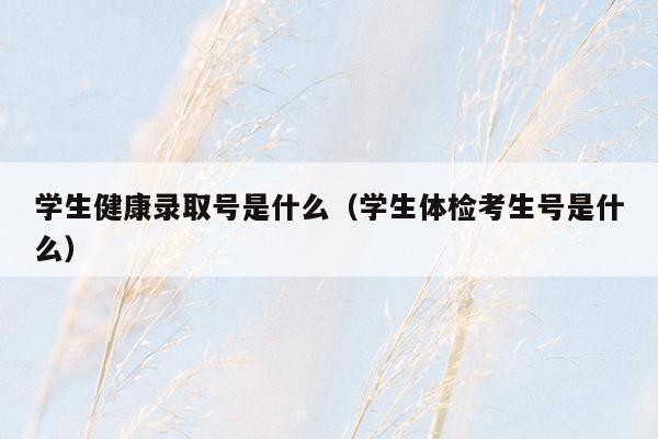 学生健康录取号是什么（学生体检考生号是什么）