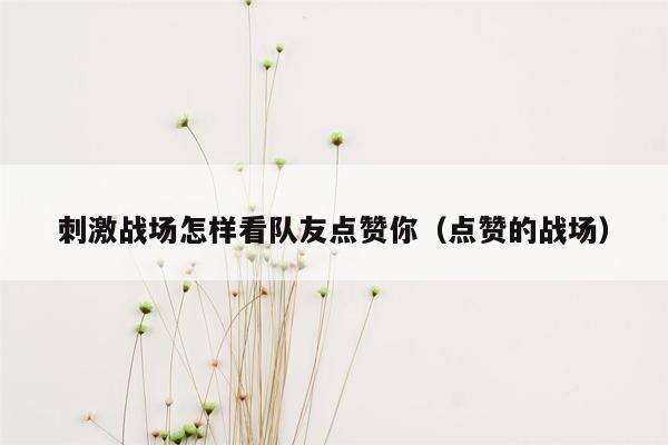 刺激战场怎样看队友点赞你（点赞的战场）