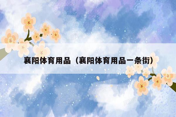 襄阳体育用品（襄阳体育用品一条街）