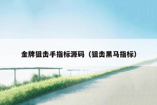 金牌狙击手指标源码（狙击黑马指标）