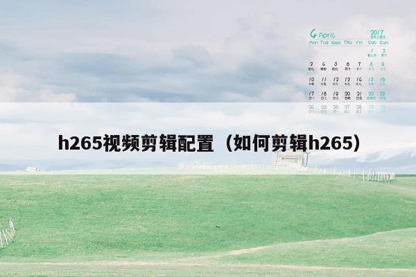 h265视频剪辑配置（如何剪辑h265）