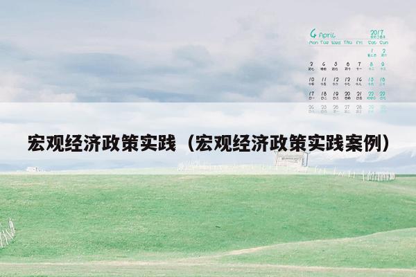 宏观经济政策实践（宏观经济政策实践案例）
