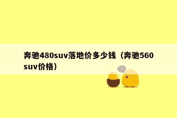 奔驰480suv落地价多少钱（奔驰560suv价格）