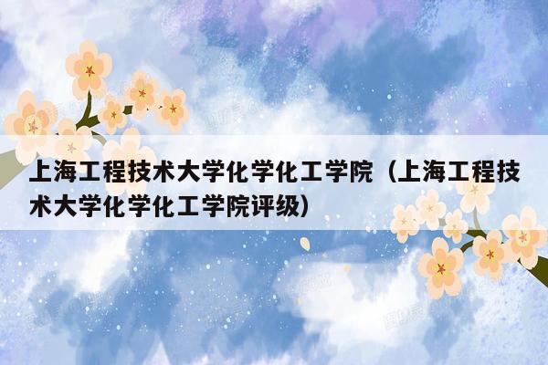上海工程技术大学化学化工学院（上海工程技术大学化学化工学院评级）