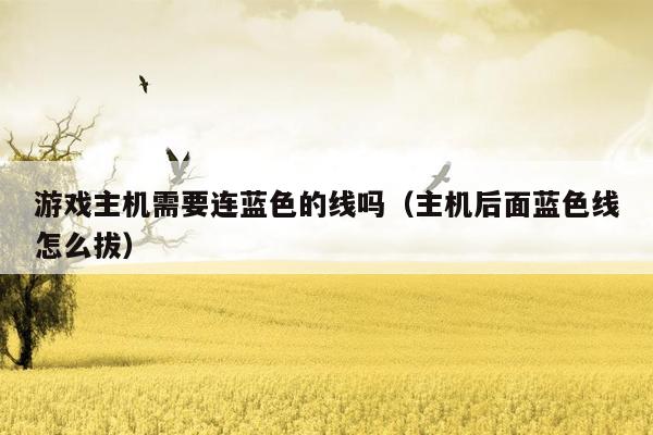 游戏主机需要连蓝色的线吗（主机后面蓝色线怎么拔）