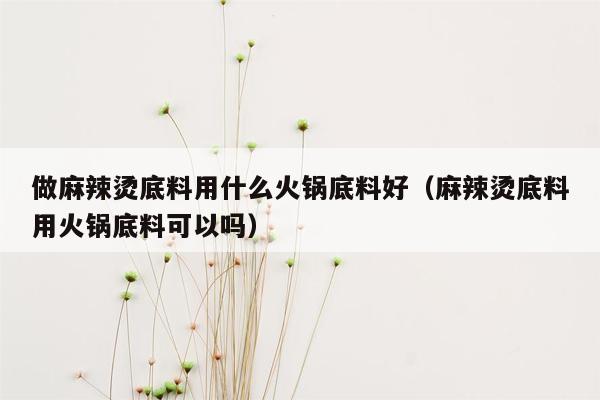 做麻辣烫底料用什么火锅底料好（麻辣烫底料用火锅底料可以吗）