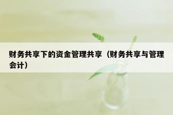 财务共享下的资金管理共享（财务共享与管理会计）
