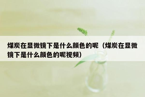 煤炭在显微镜下是什么颜色的呢（煤炭在显微镜下是什么颜色的呢视频）