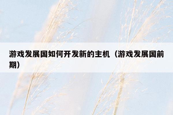 游戏发展国如何开发新的主机（游戏发展国前期）